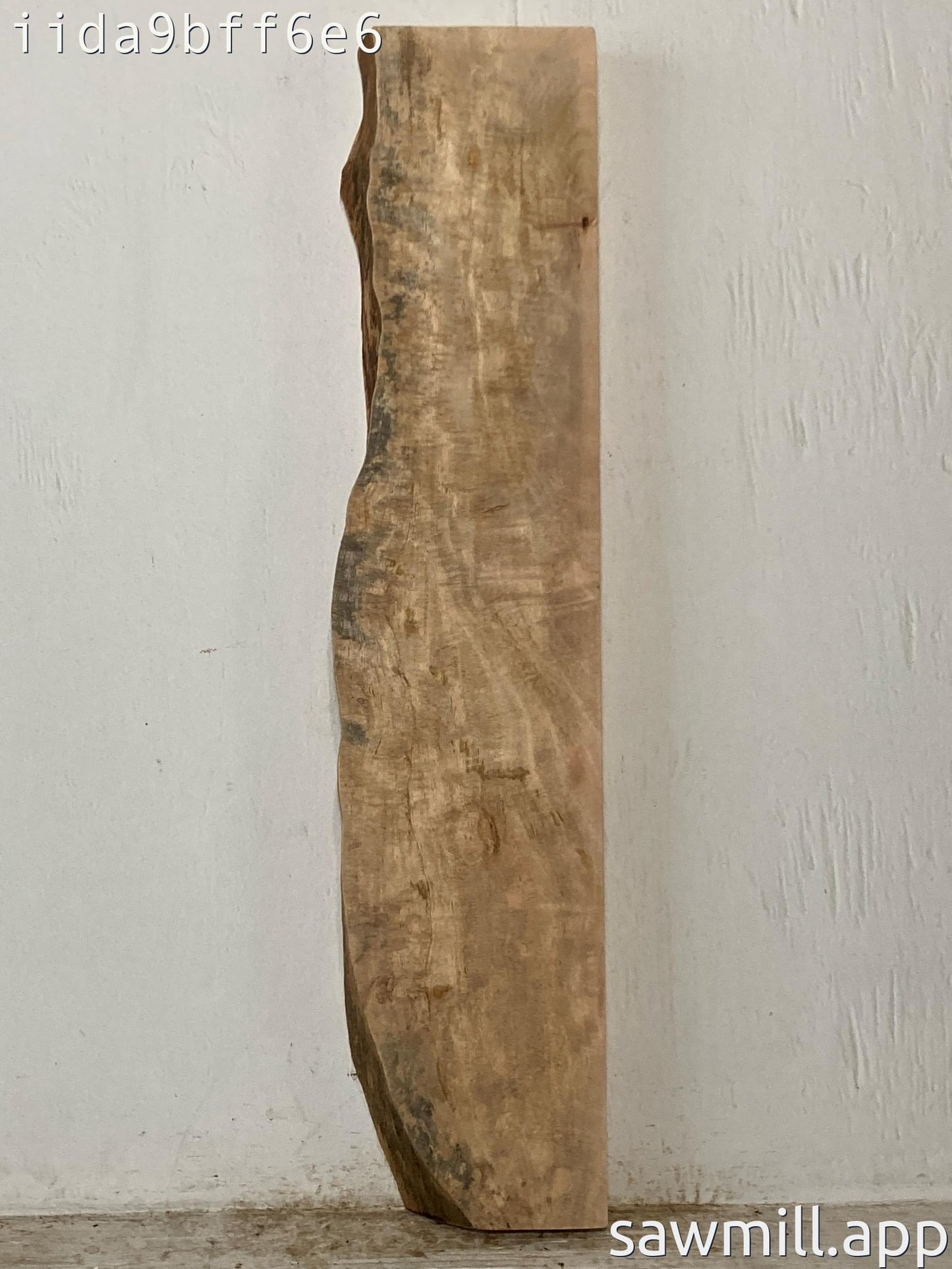 2" x 6" x 32" Mango