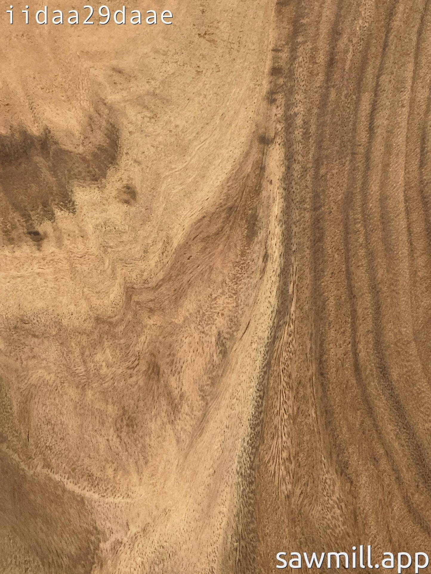 1.75" x 11" x 22" Monkeypod