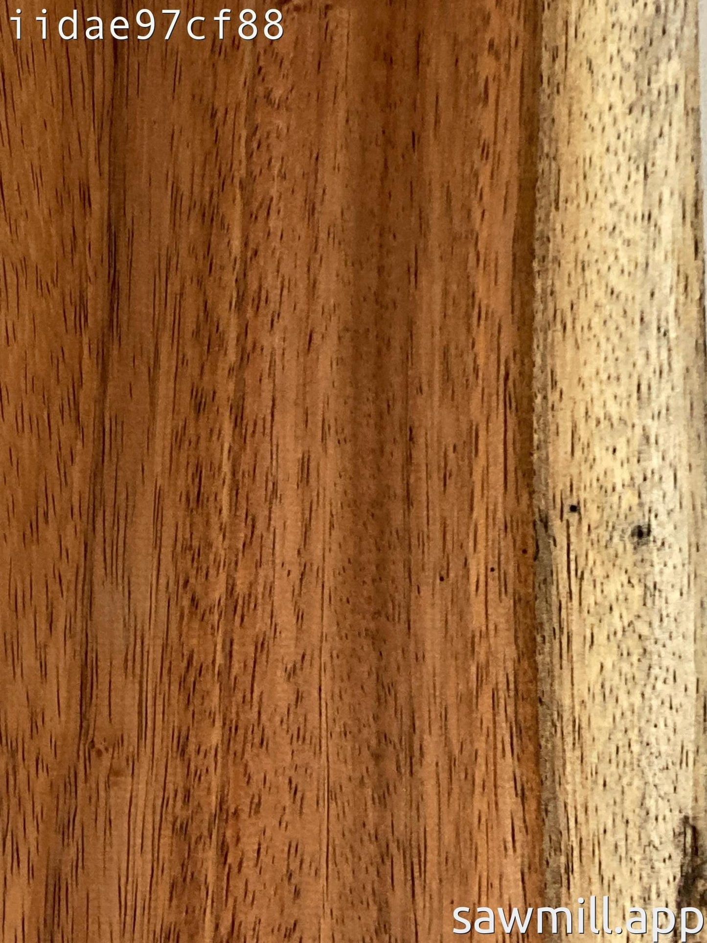 1" x 8" x 84" Chocolate Albizia