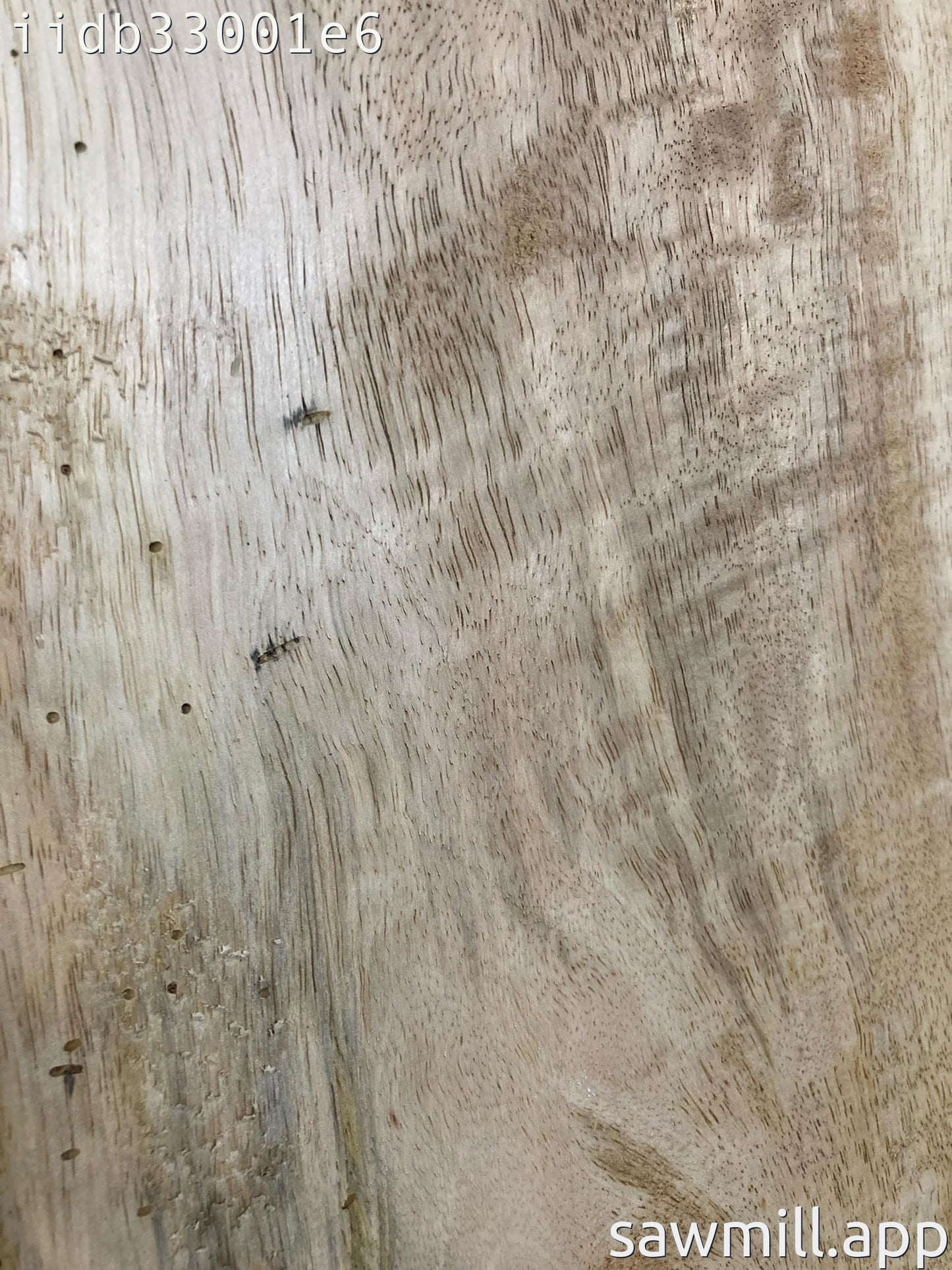 1" x 10" x 63" Mango