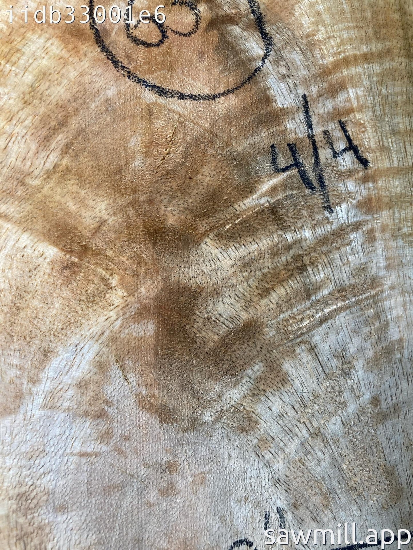 1" x 10" x 63" Mango