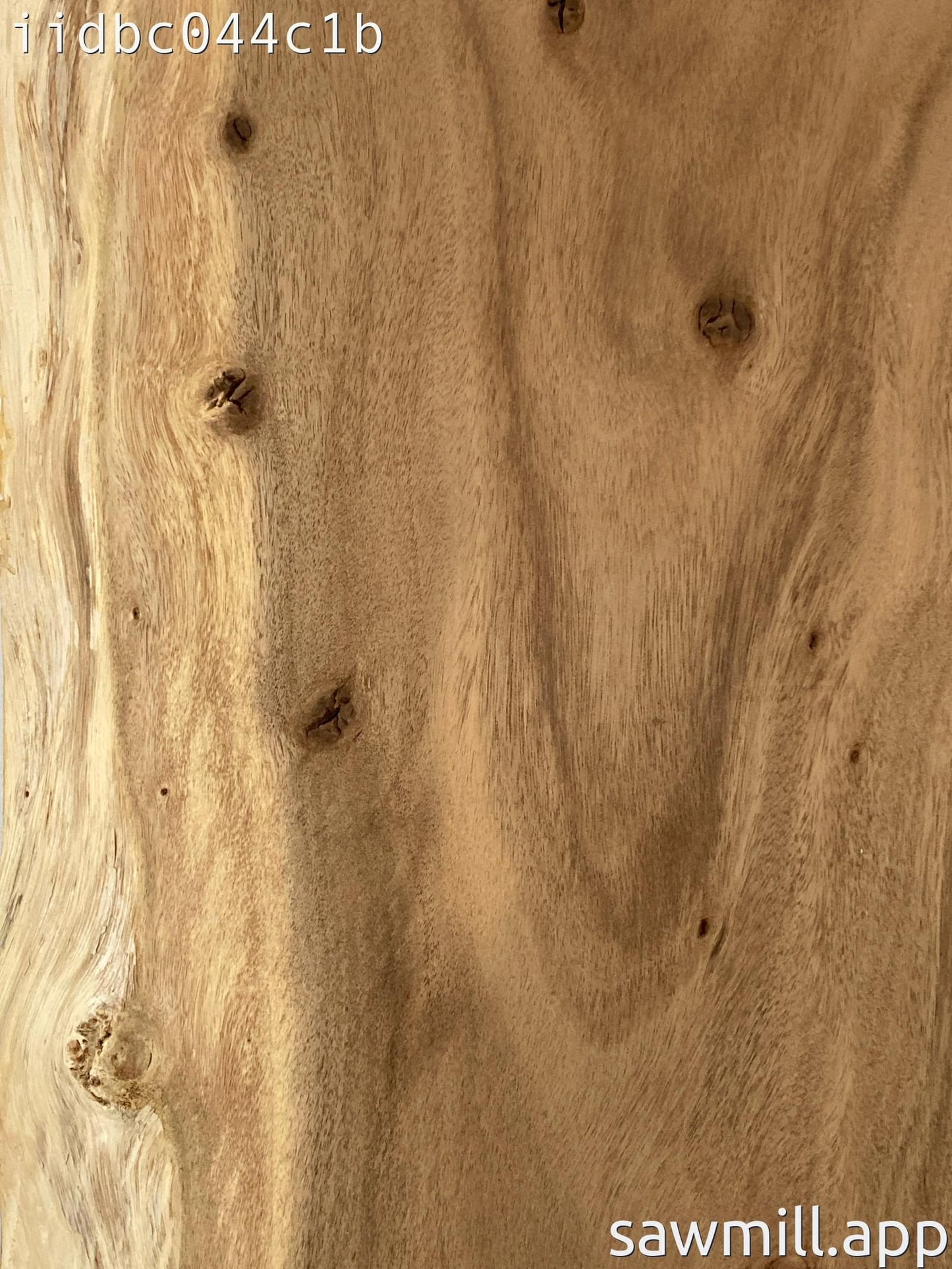 1.75" x 16" x 36" Monkeypod