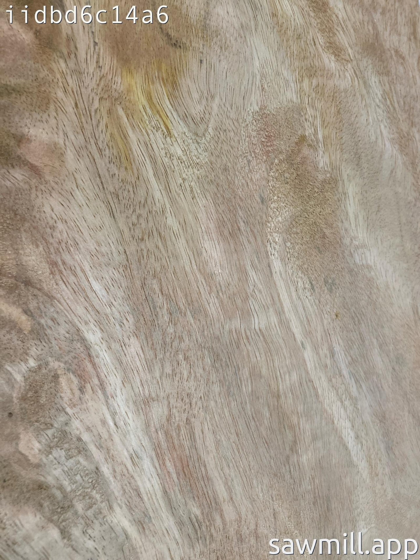 1.5" x 13" x 38" Mango