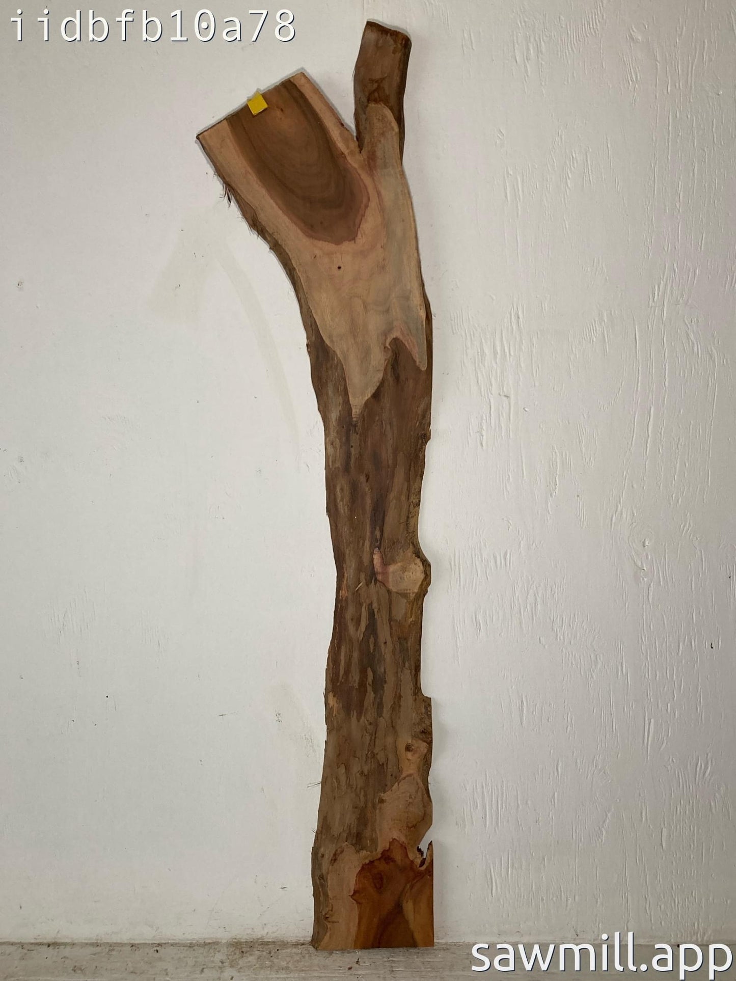 0.75" x 10" x 55" Milo