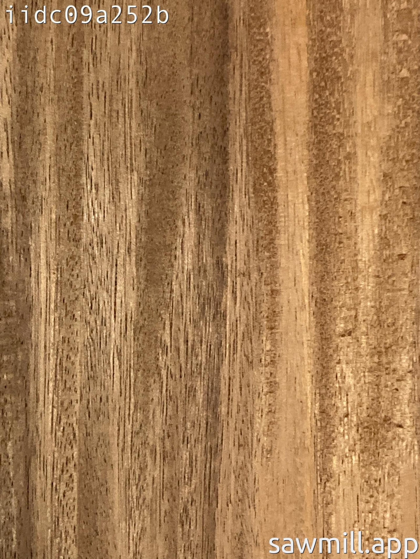 1.75" x 6" x 81" Monkeypod