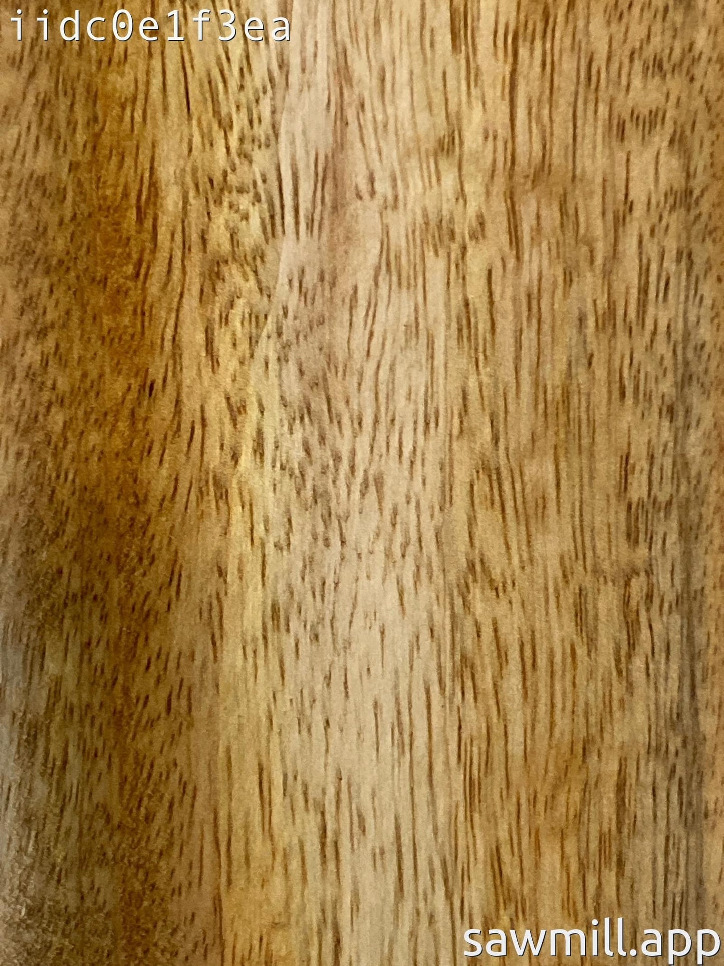 1.75" x 3" x 54" Mango