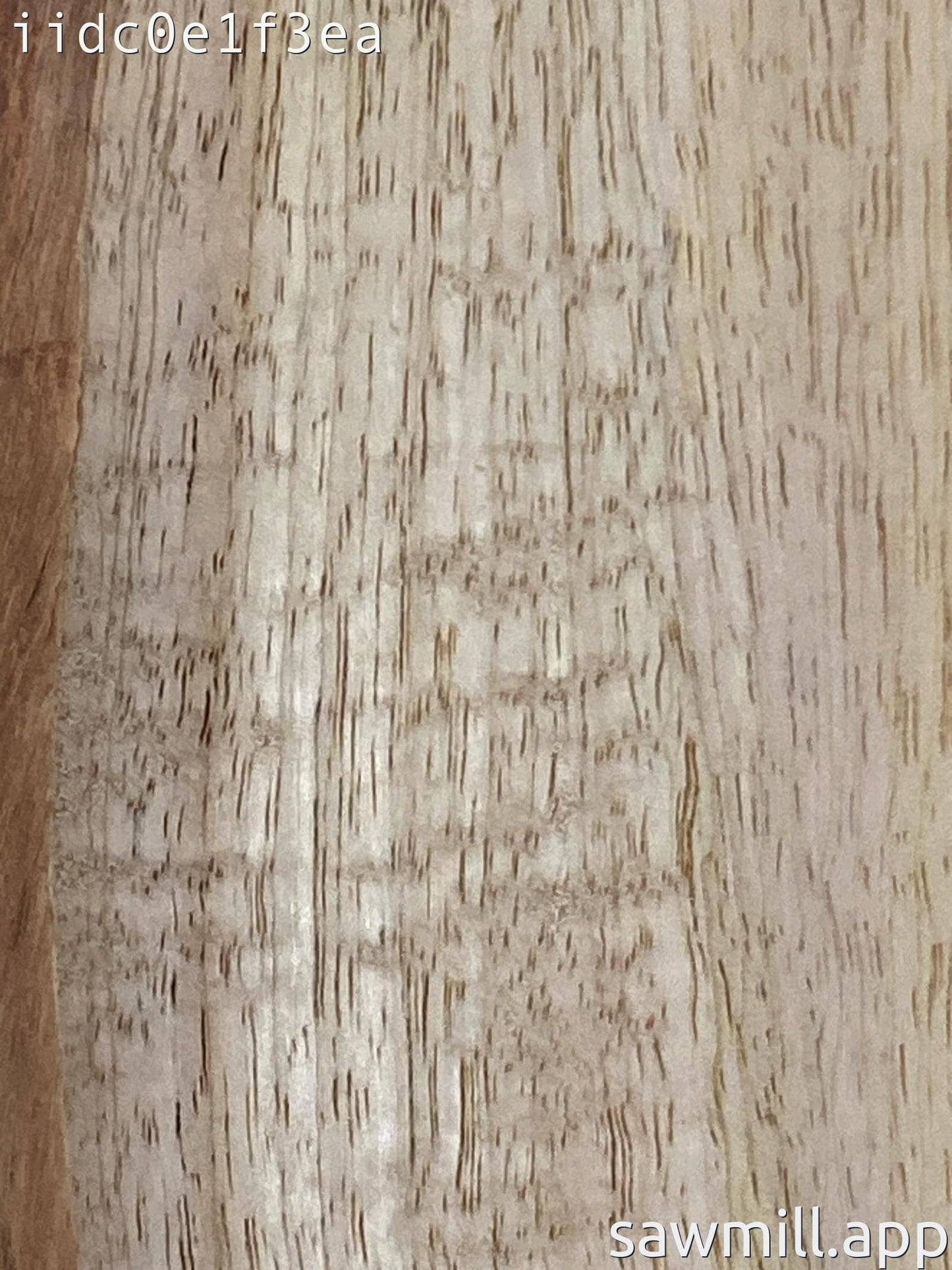 1.75" x 3" x 54" Mango