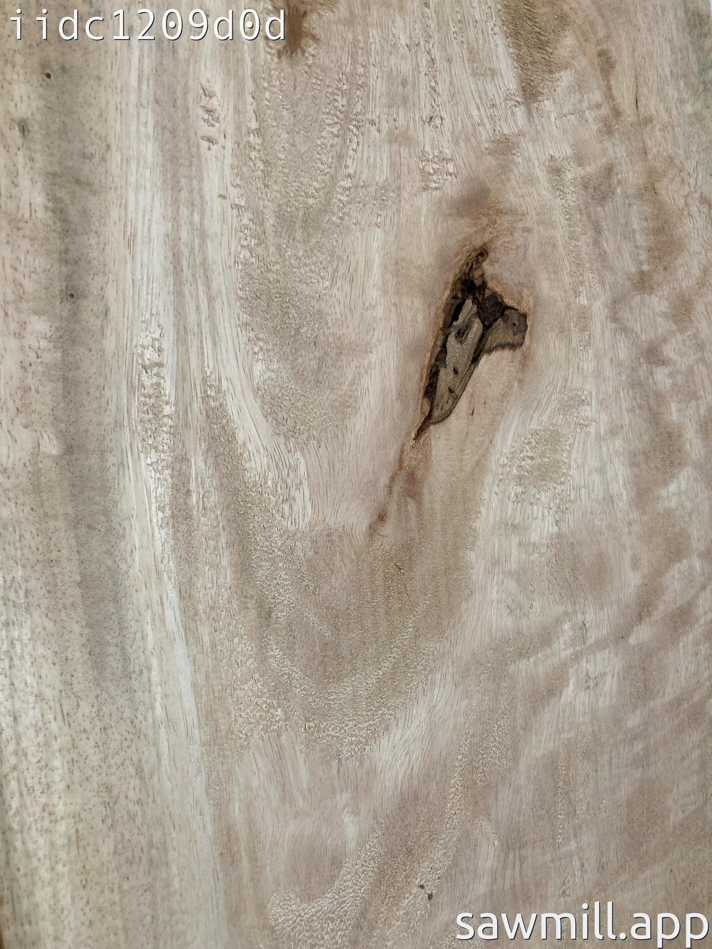 1.5" x 12" x 38" Mango