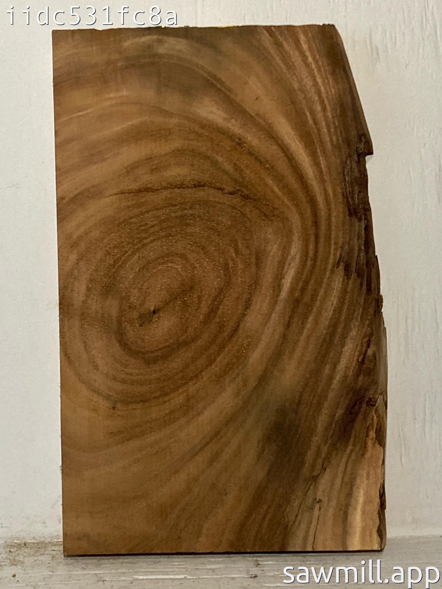 1.75" x 14" x 21" Monkeypod