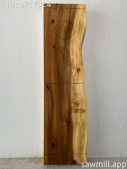 4.25" x 10" x 37" Monkeypod