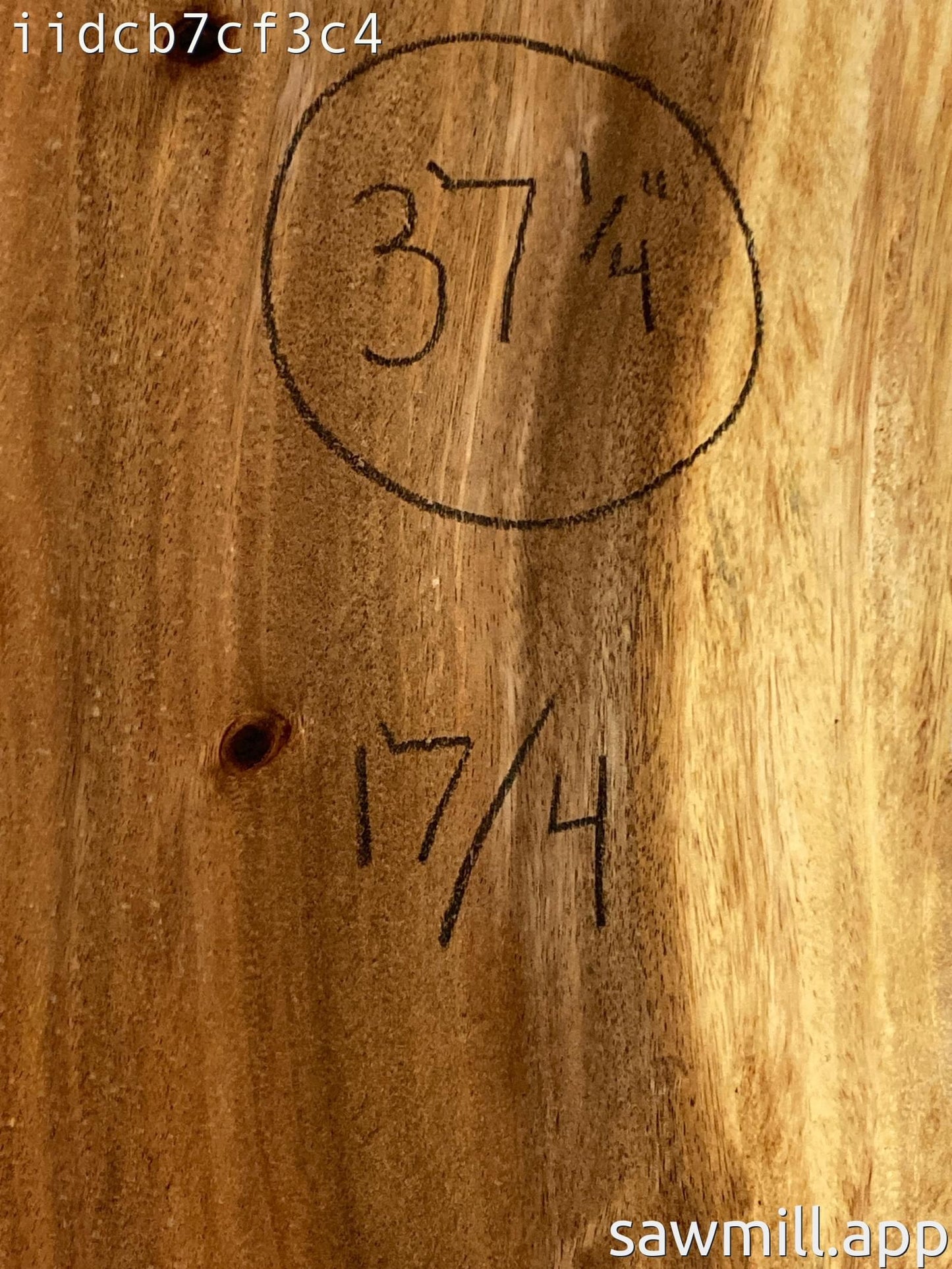4.25" x 10" x 37" Monkeypod
