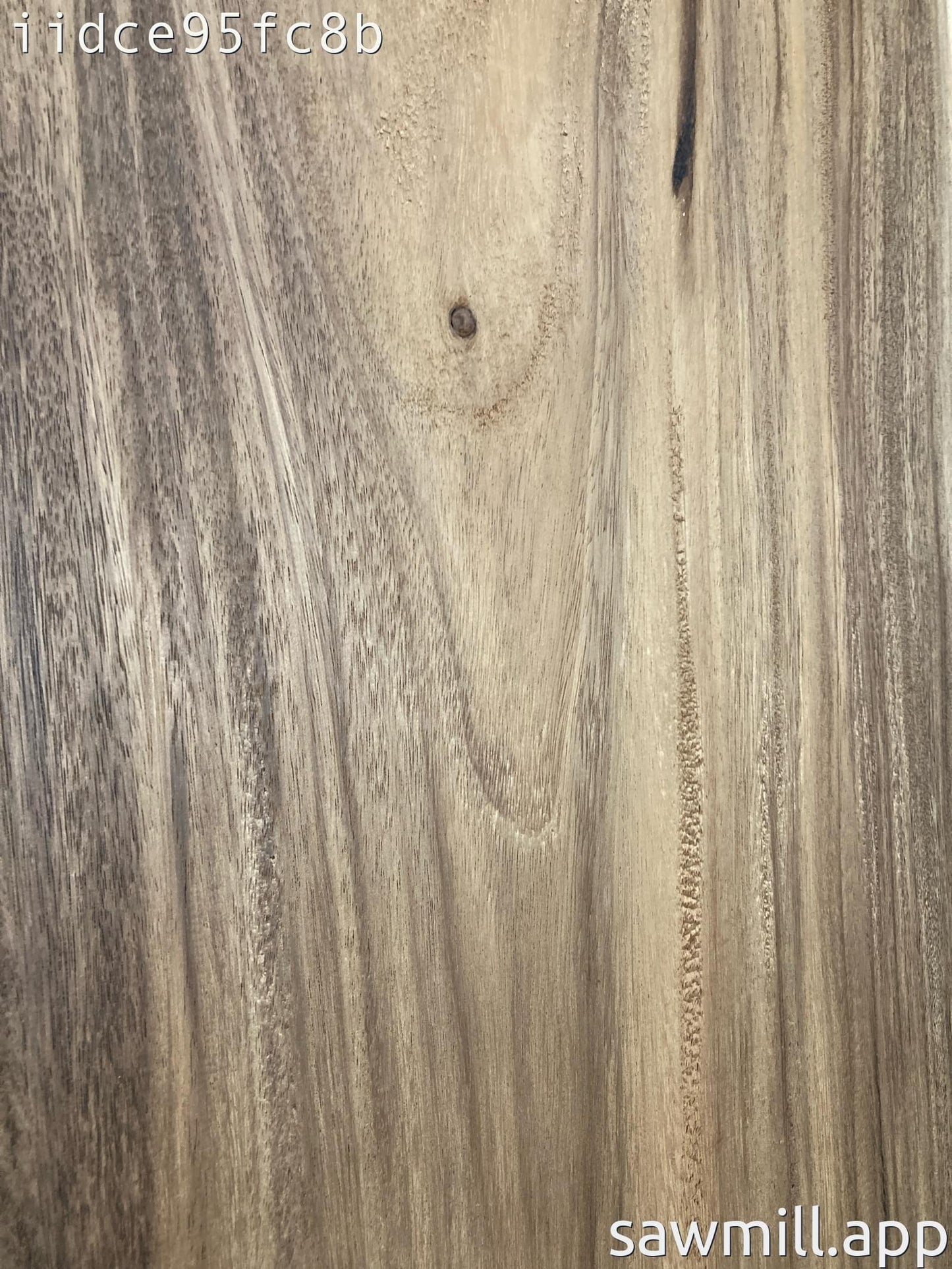 1.5" x 16" x 31" Monkeypod