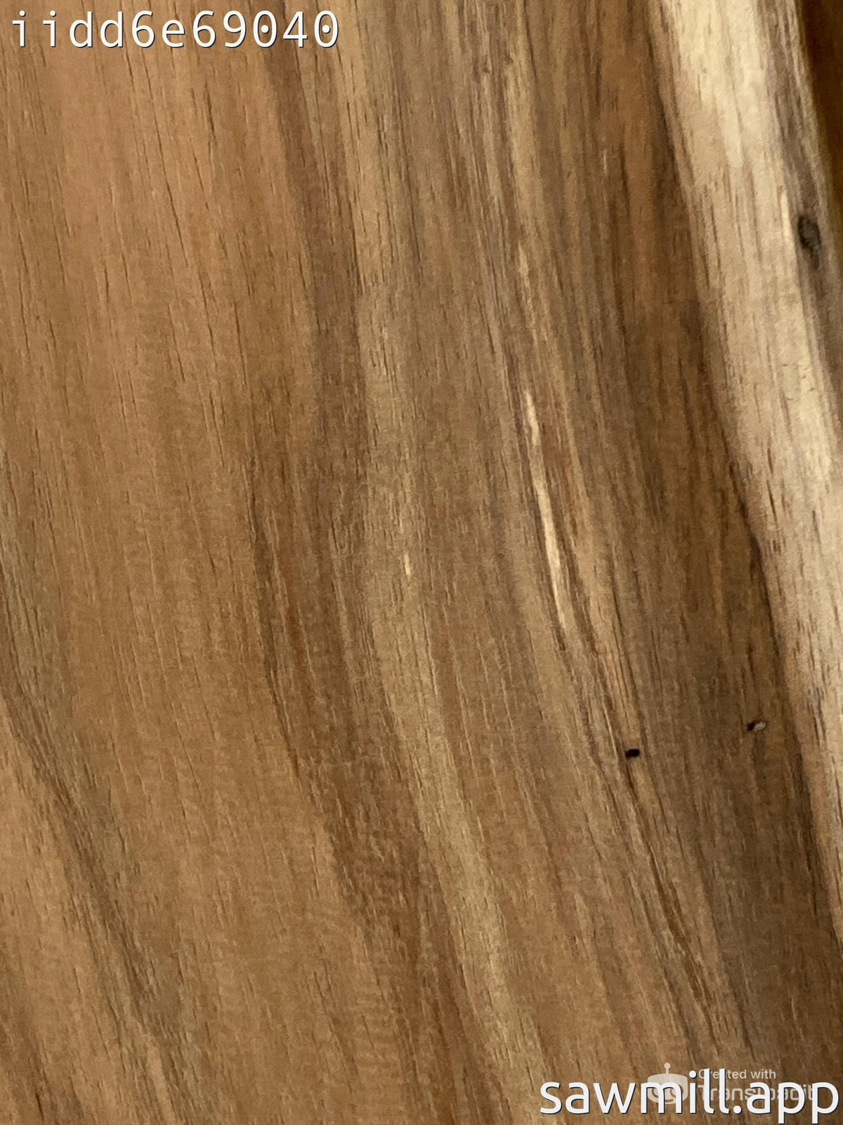 4" x 8" x 36" Hawaiian Koa