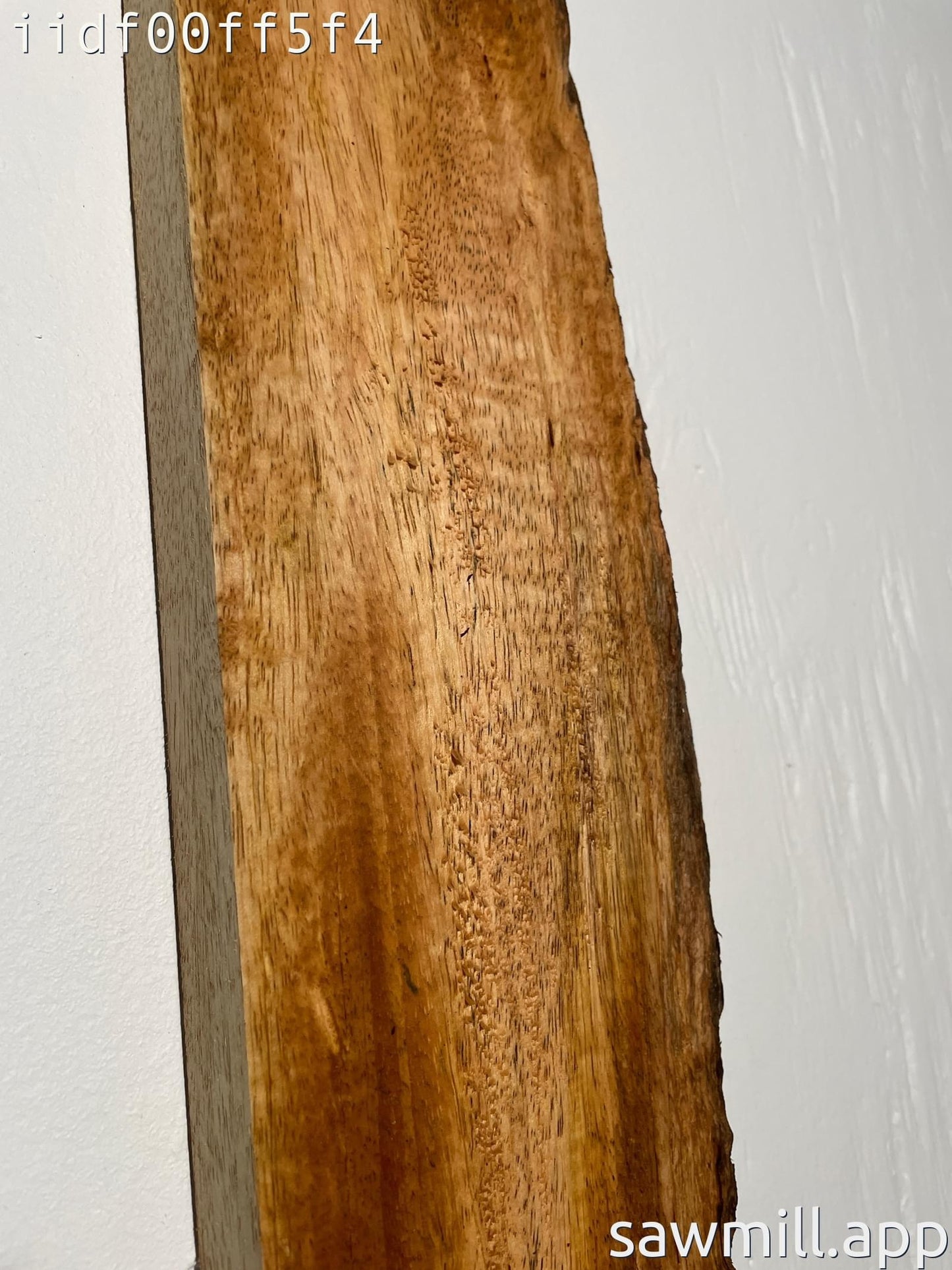 1" x 5" x 59" Mango