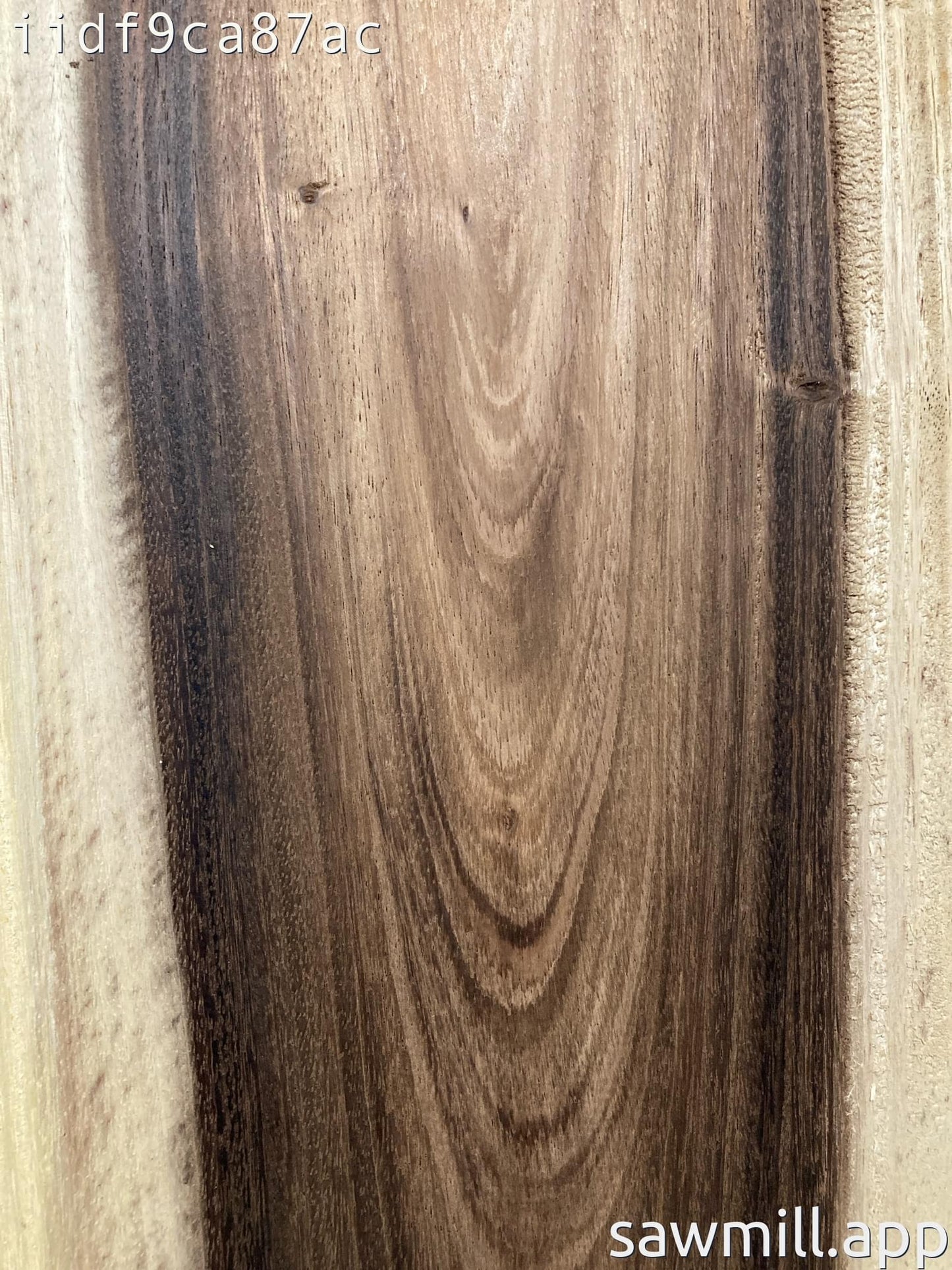 3" x 15" x 65" Monkeypod