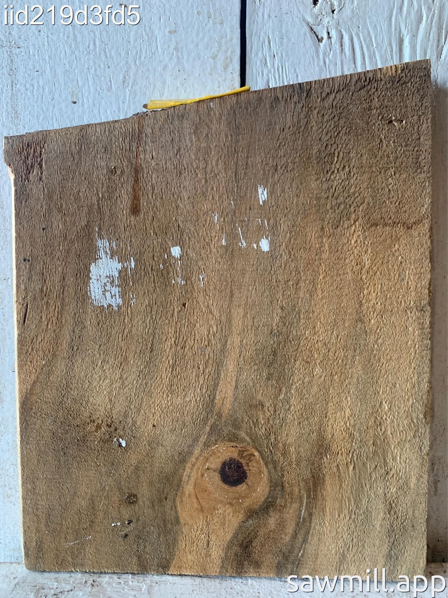 0.75" x 7" x 8" Norfolk Pine