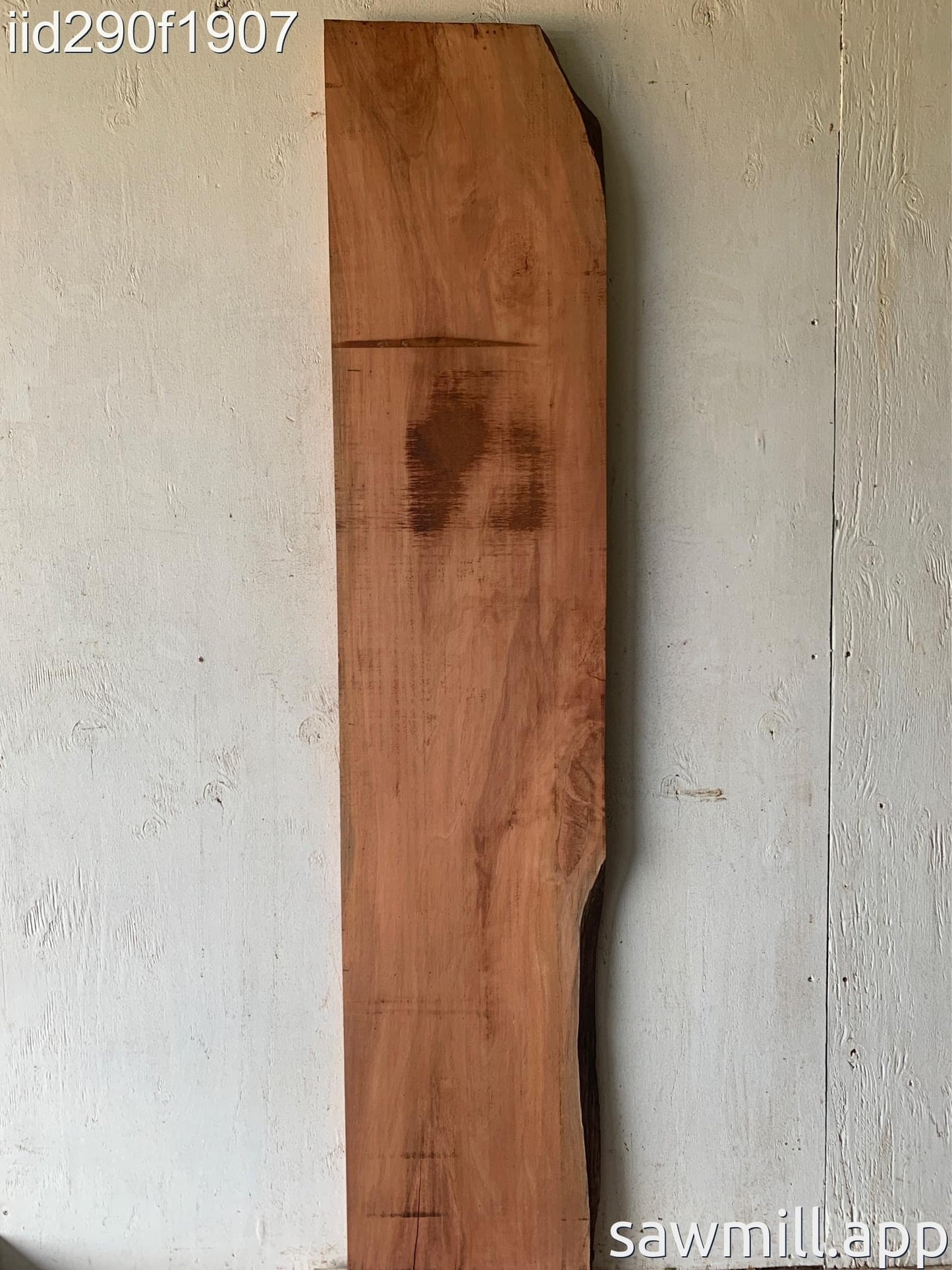 1.25" x 14" x 67" Lychee