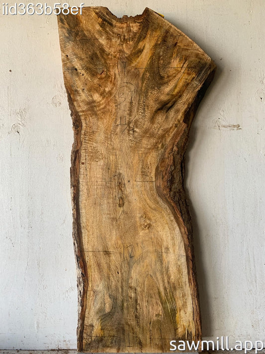2.75" x 17" x 39" Mango