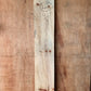 1" x 7" x 44" Norfolk Pine