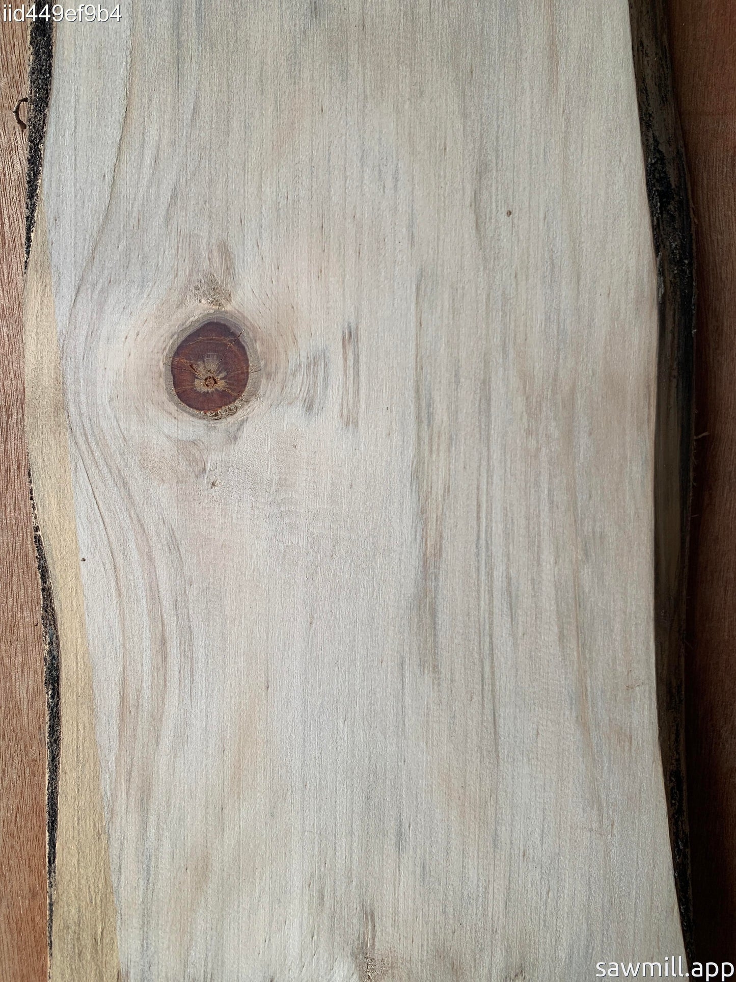 1" x 8" x 49" Norfolk Pine