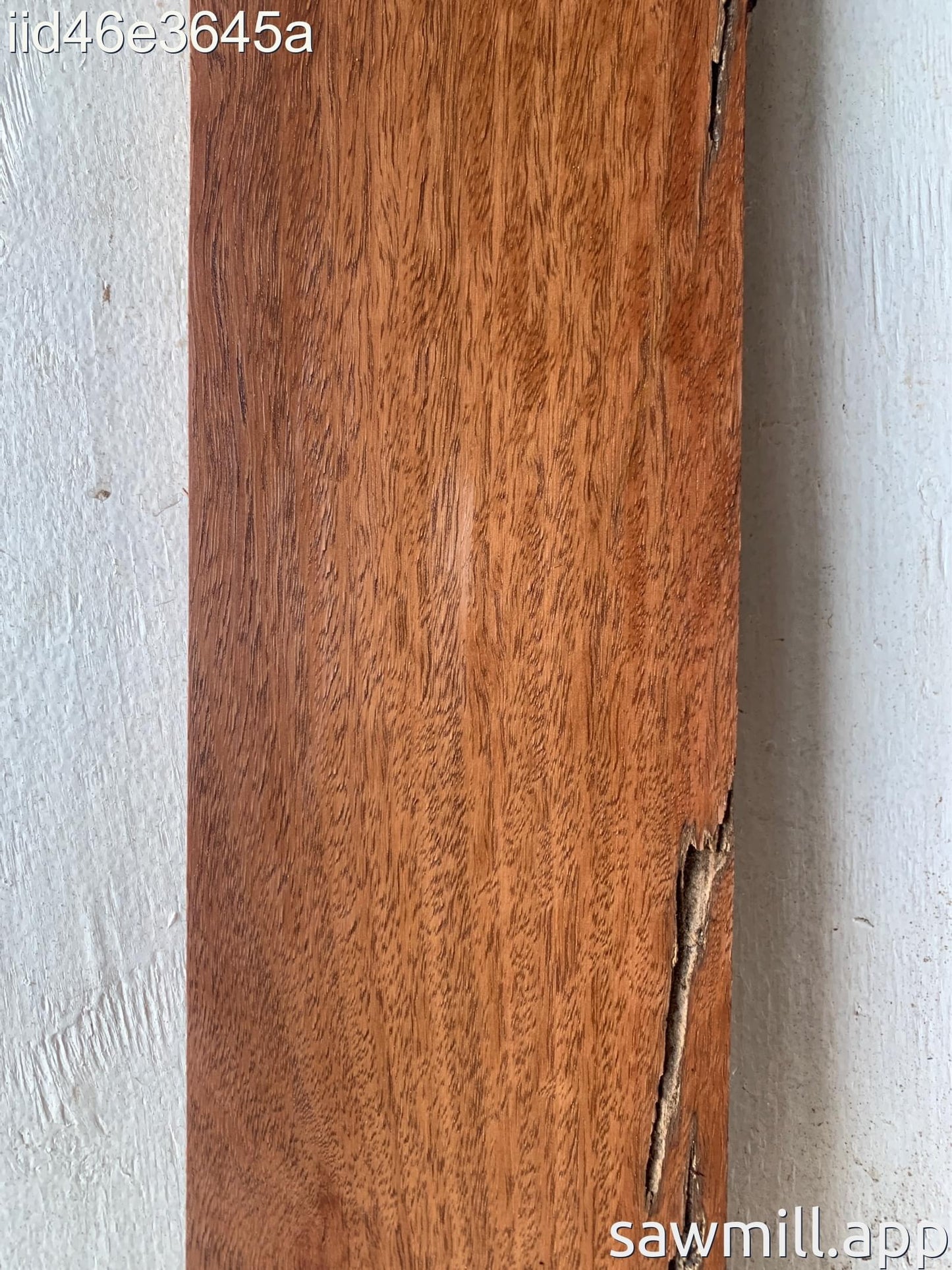 0.5" x 5" x 52" Ironbark Eucalyptus