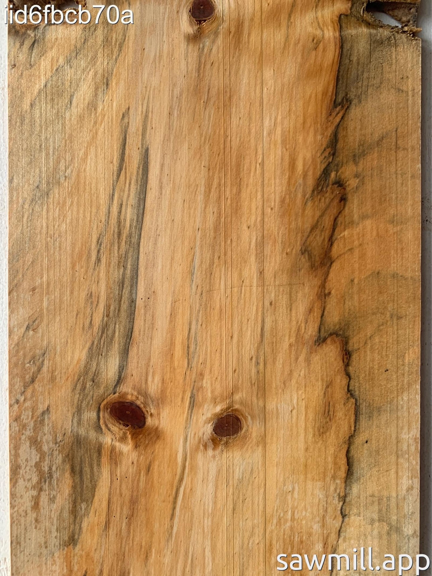 0.25" x 13" x 65" Norfolk Pine