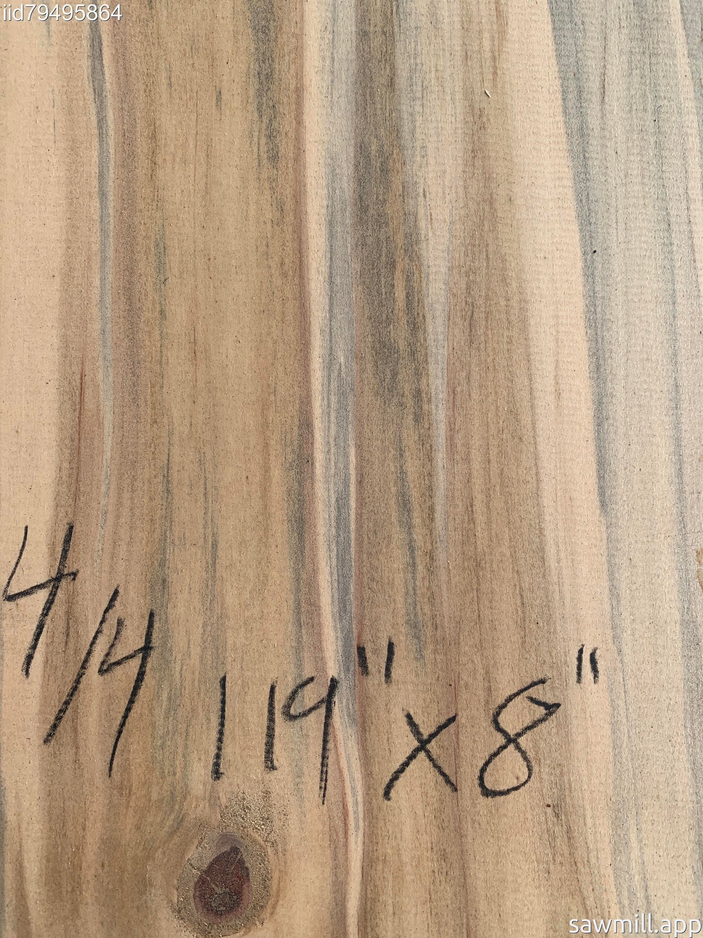 1" x 8" x 119" Norfolk Pine