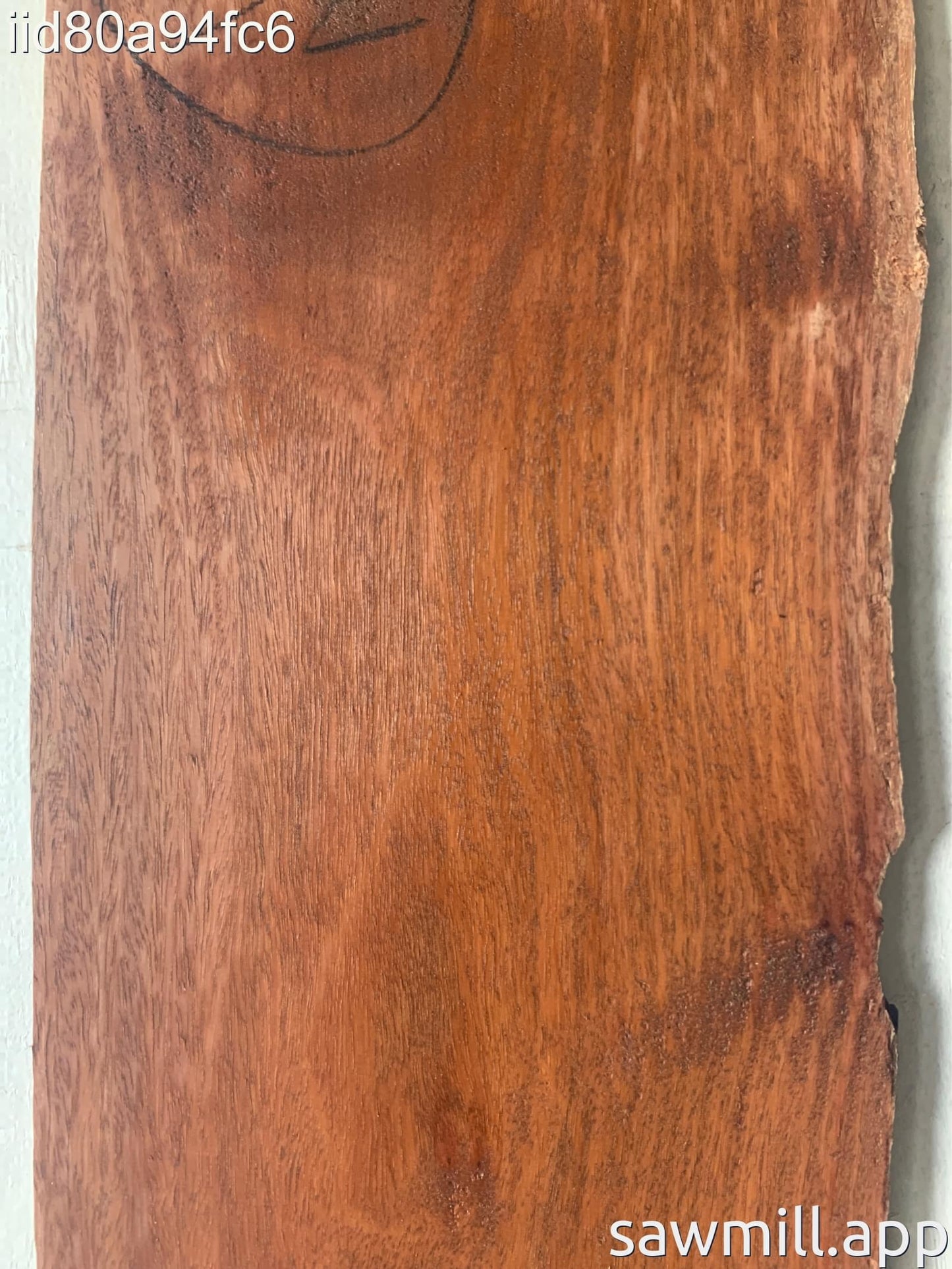 0.75" x 10" x 52" Ironbark Eucalyptus
