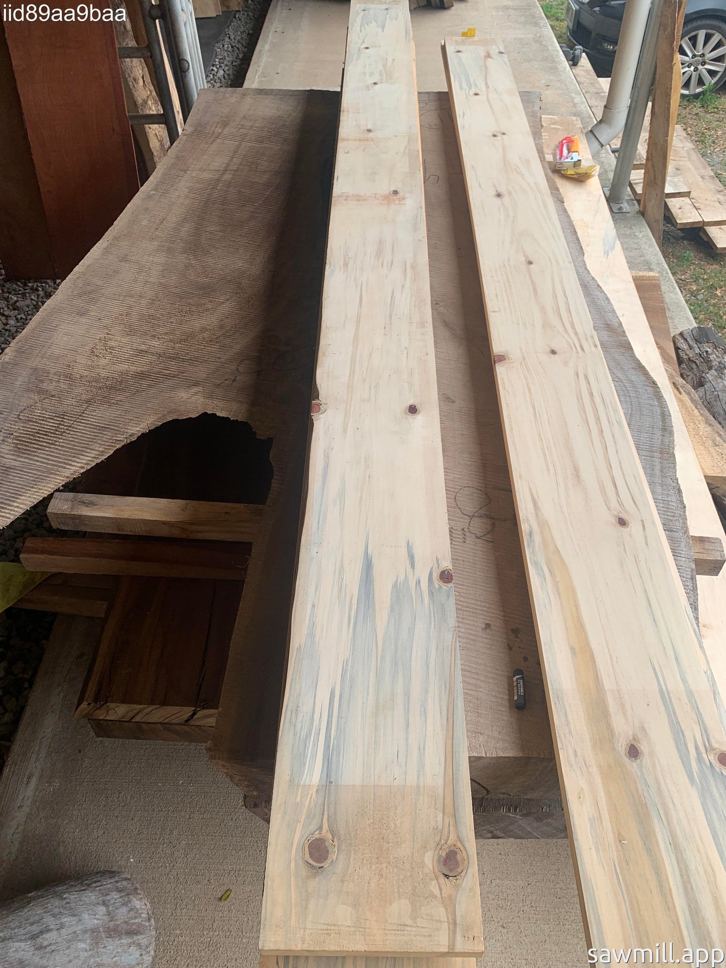 1" x 8" x 120" Norfolk Pine