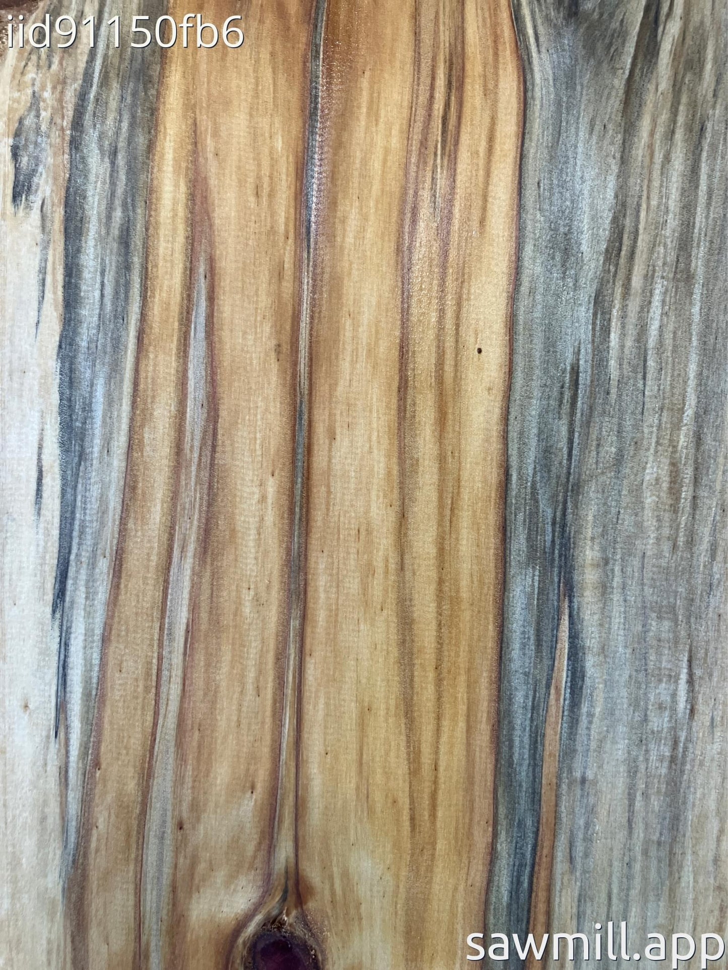 1" x 11" x 65" Norfolk Pine