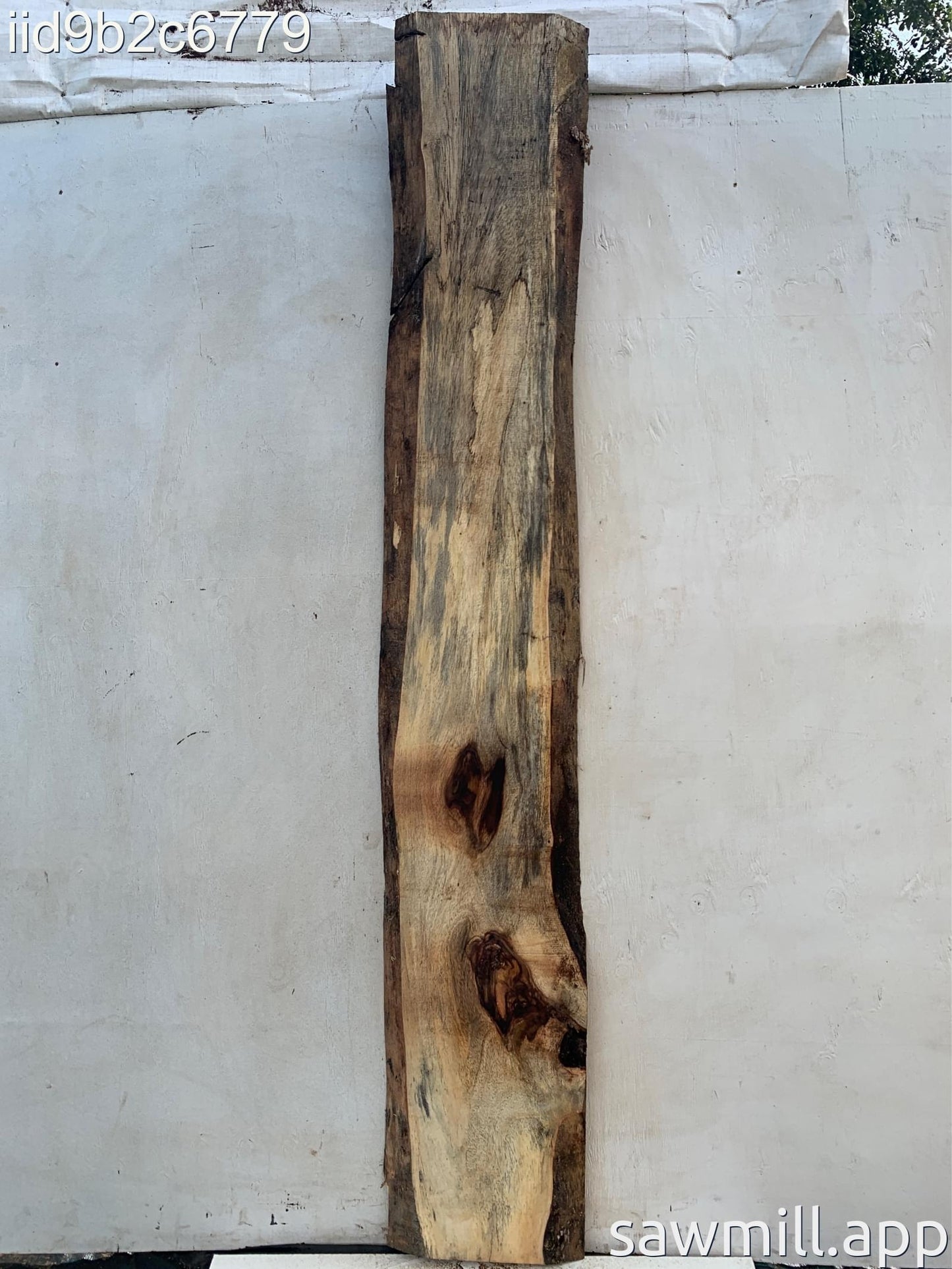 2" x 16" x 98" Chocolate Albizia