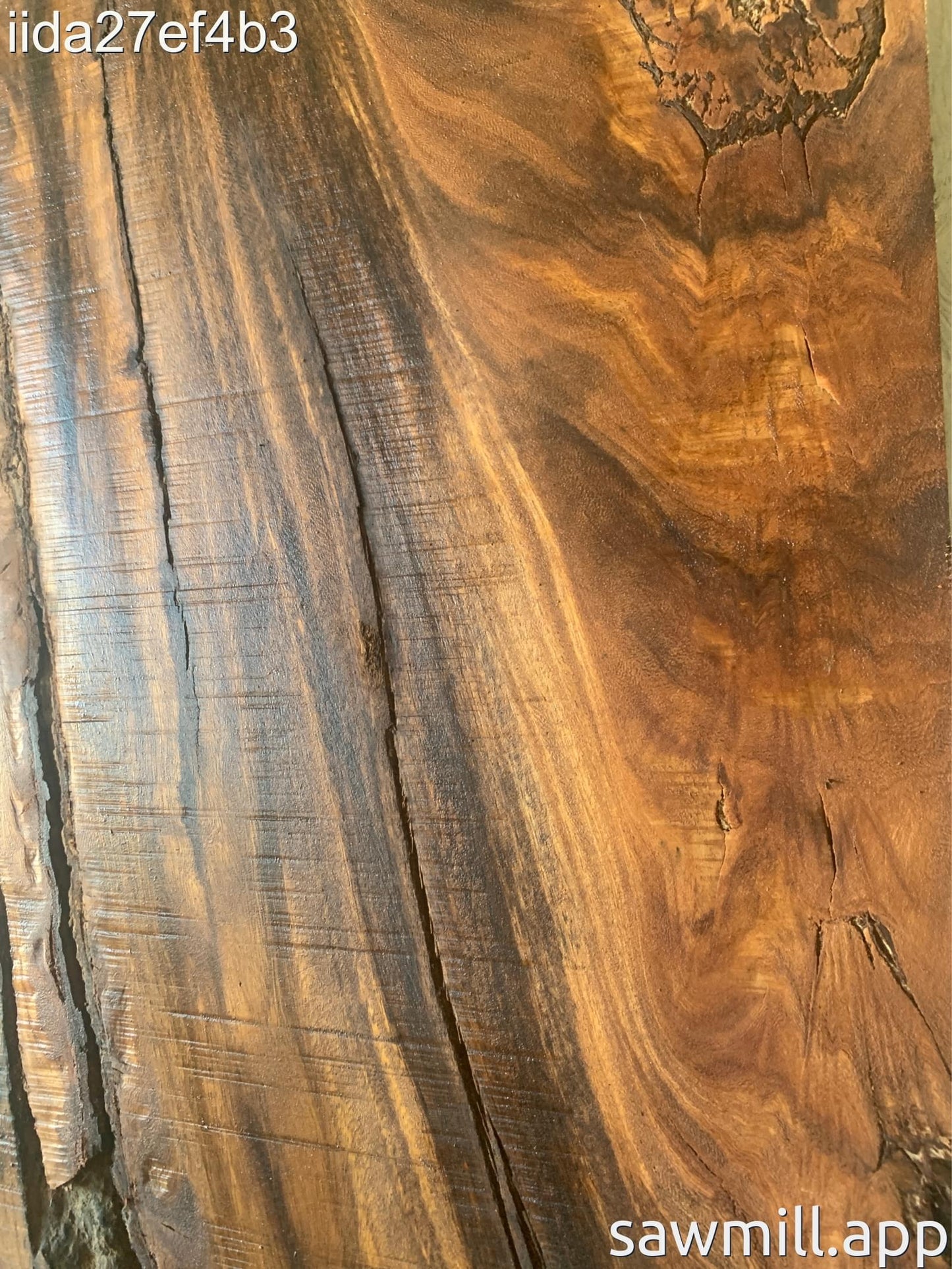 2.75" x 24" x 51" Monkeypod