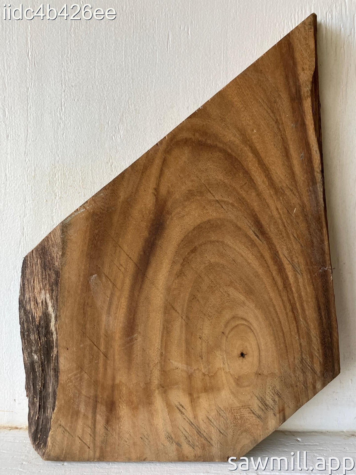 2.25" x 19" x 13" Monkeypod