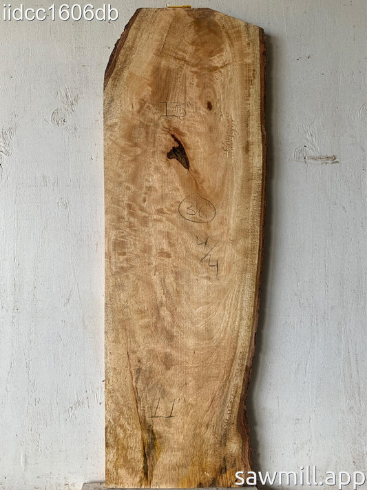 1" x 13" x 38" Mango