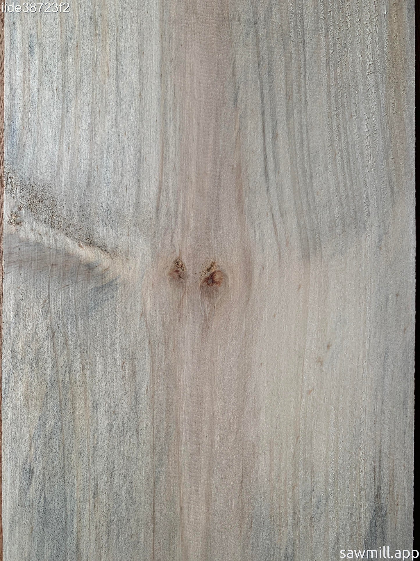 1" x 8" x 48" Norfolk Pine