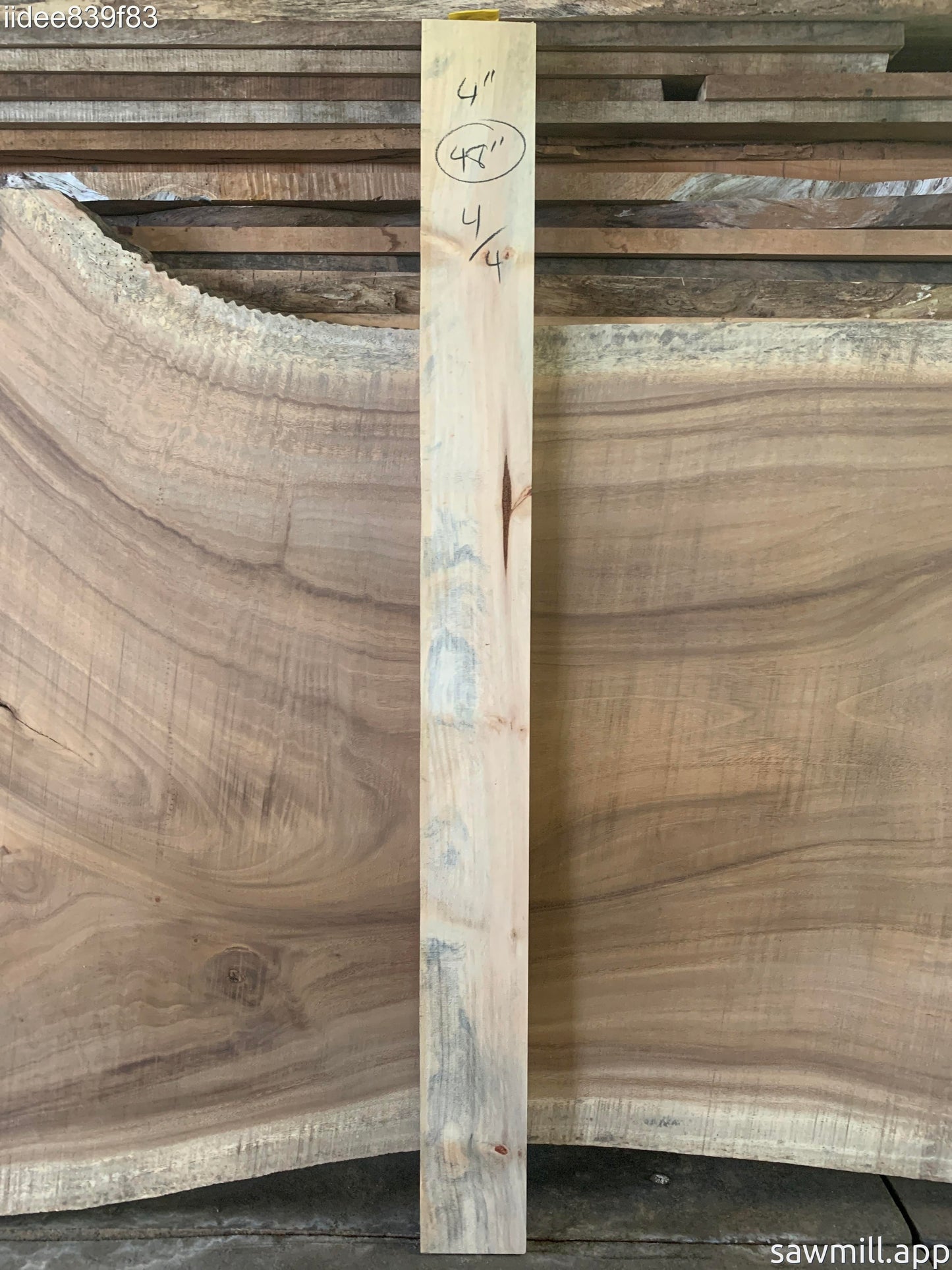 1" x 4" x 48" Norfolk Pine
